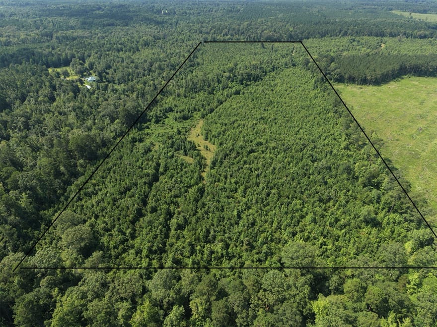 County Road 2339, Marietta, Texas