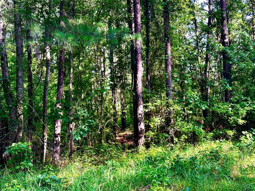 Hwy 808, Haynesville, Louisiana