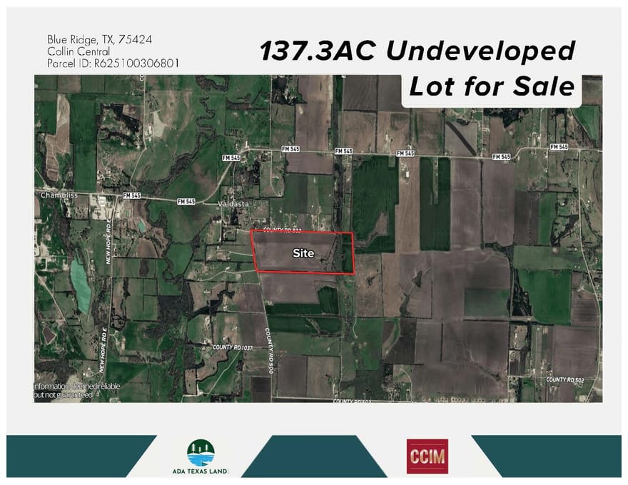 TBD 137.3AC County Road 832, Blue Ridge, Texas