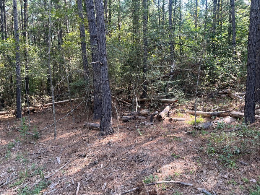 TBD County Road 3303, Jacksonville, Texas