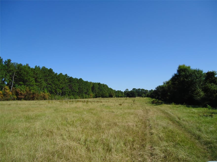 788 Fm-2781, Groveton, Texas