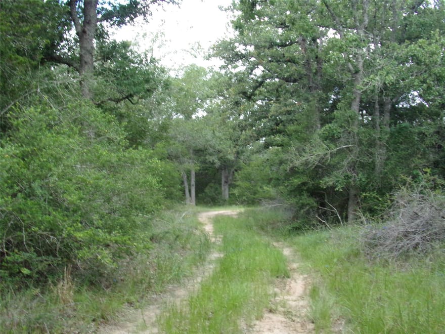 1588 Deer Hollow Road, Weimar, Texas