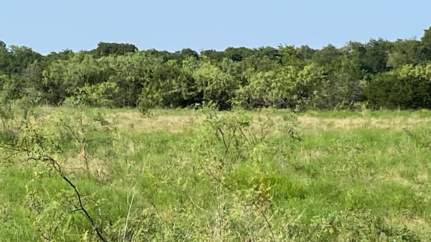 TBD Hcr 1195 Road, Blum, Texas