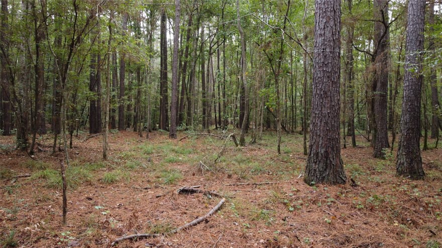 TBD County Road 405, San Augustine, Texas
