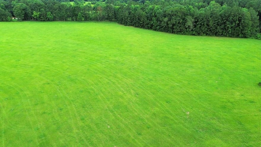 8AC Co Rd 317, Magnolia Springs, Texas