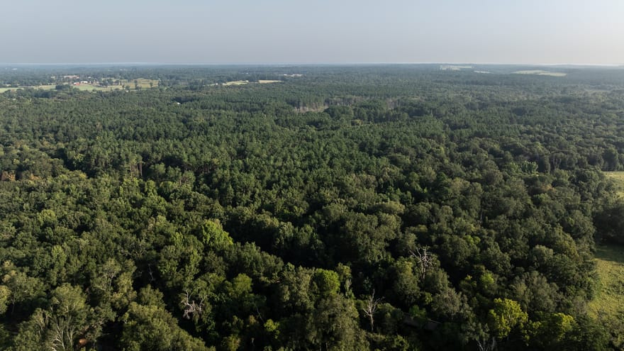 TBD Cr 461, Laneville, Texas