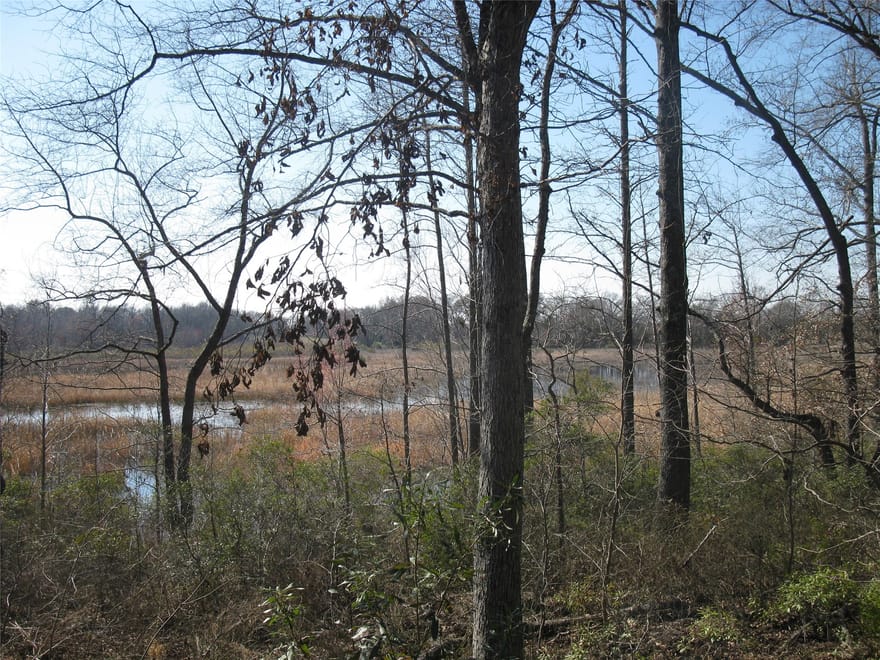 TBD 133 AC +- Vz County Road 4701, Ben Wheeler, Texas