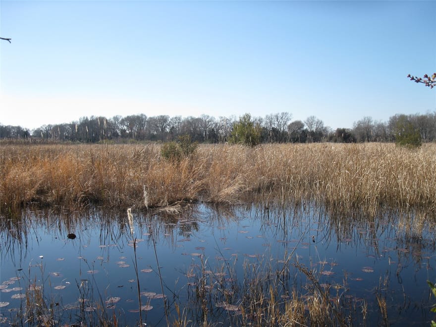 TBD 133 AC +- Vz County Road 4701, Ben Wheeler, Texas