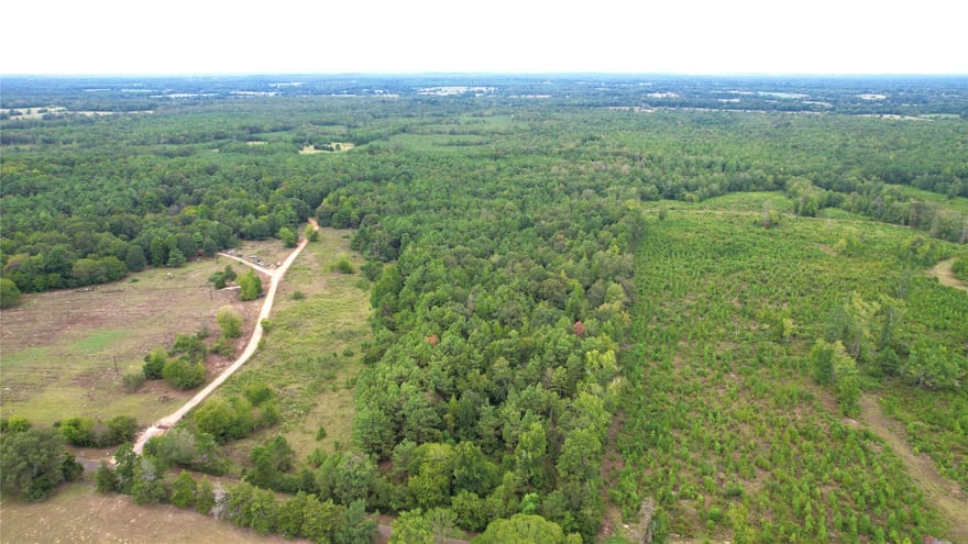 County Road 152, Carthage, Texas