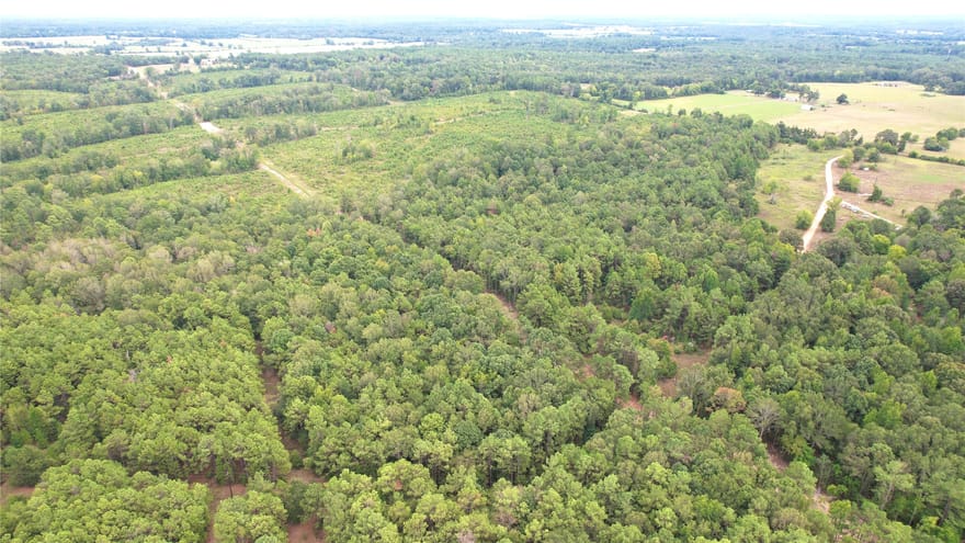 County Road 152, Carthage, Texas