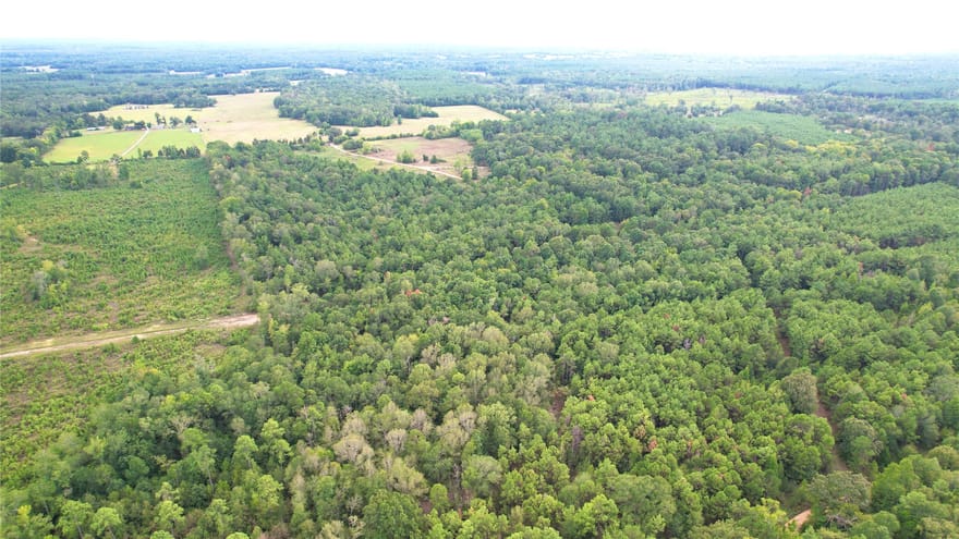 County Road 152, Carthage, Texas