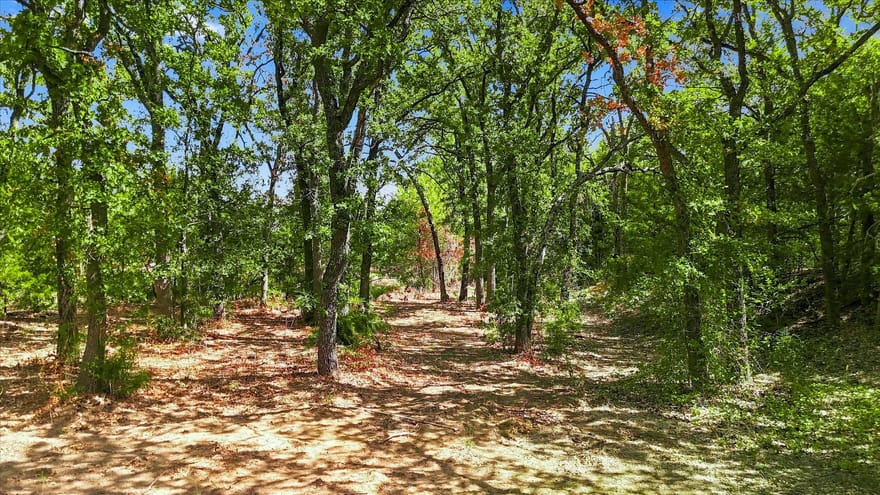 1347 Johnson Road, Keller, Texas