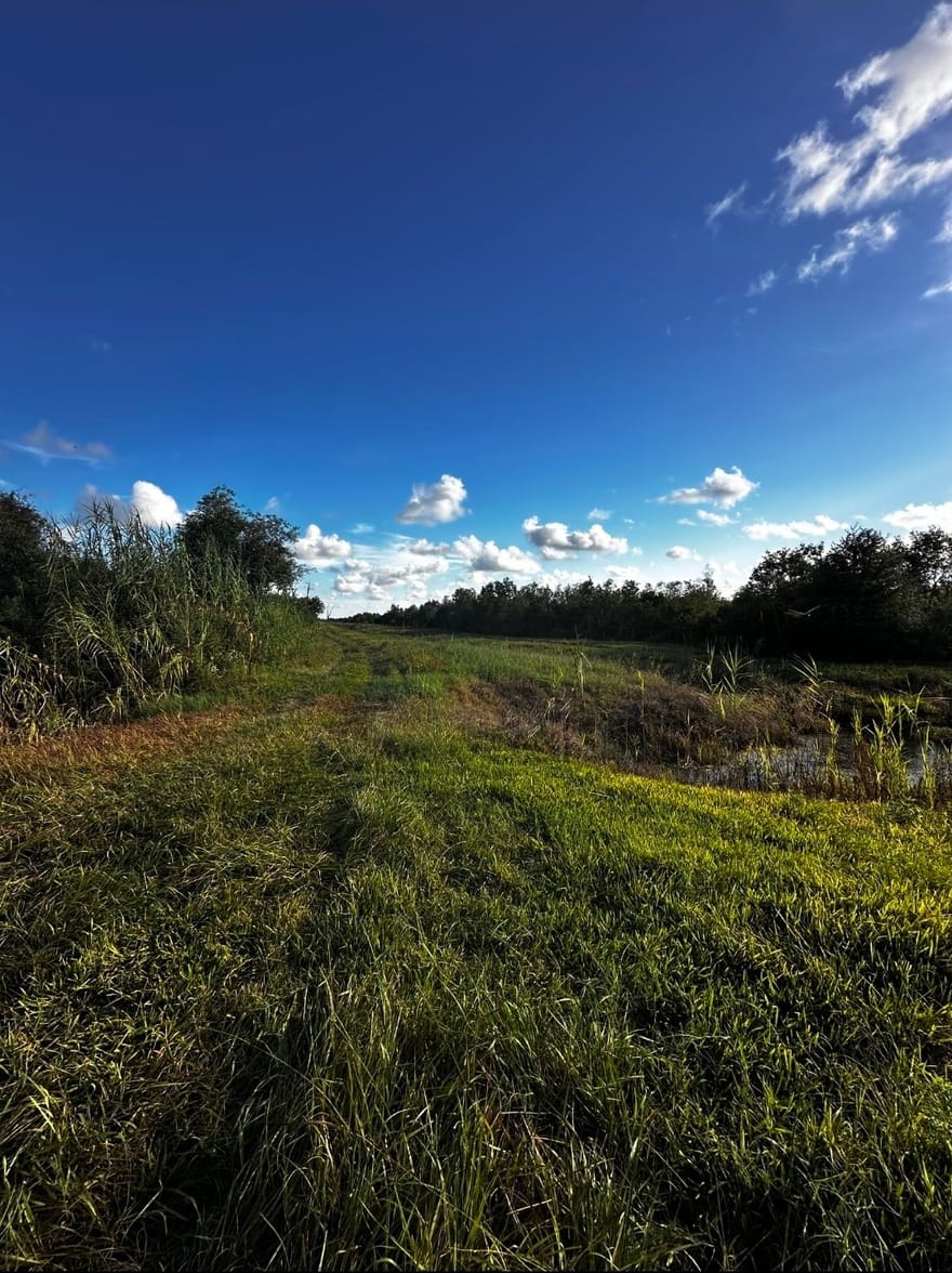 Burr Lane, Winnie, Texas