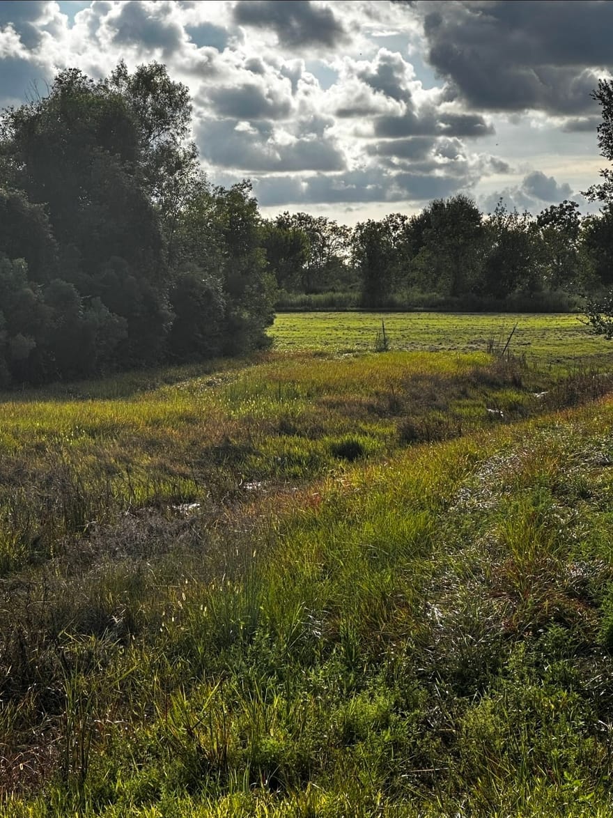 Burr Lane, Winnie, Texas