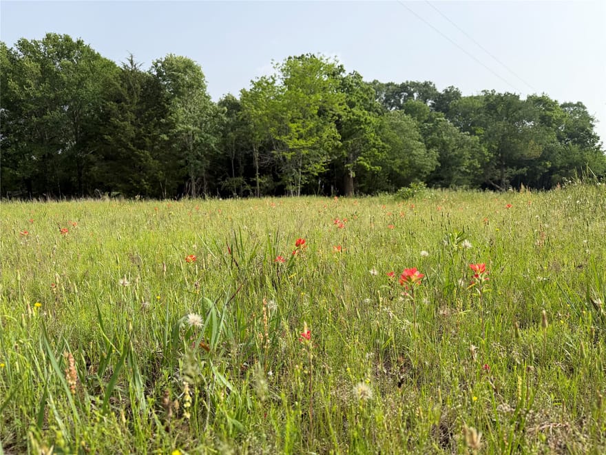 TBD County Road 1130, Cumby, Texas