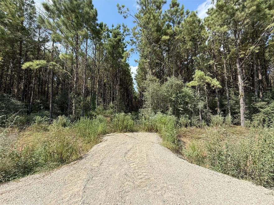 5700 Black Cat Road, Sour Lake, Texas