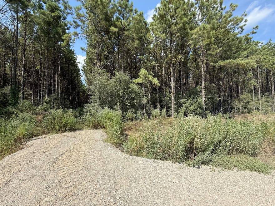 5700 Black Cat Road, Sour Lake, Texas