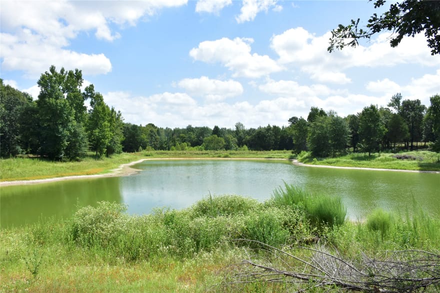961 County Road 484, Palestine, Texas
