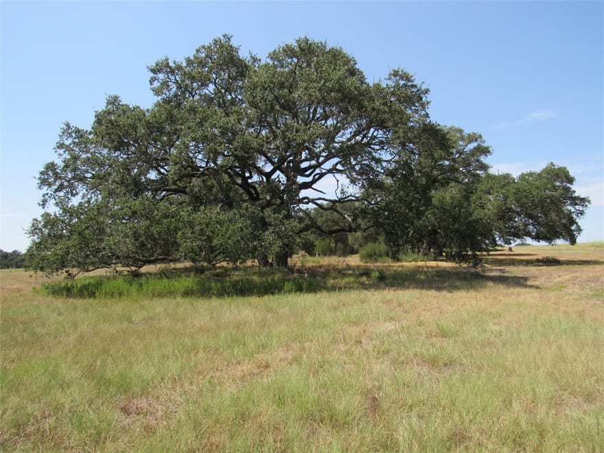 7863 Fm 332 Road, Brenham, Texas