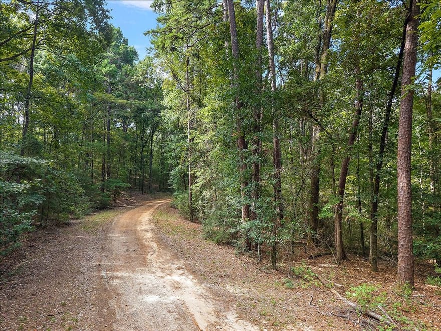 White Oak Drive, Etoile, Texas