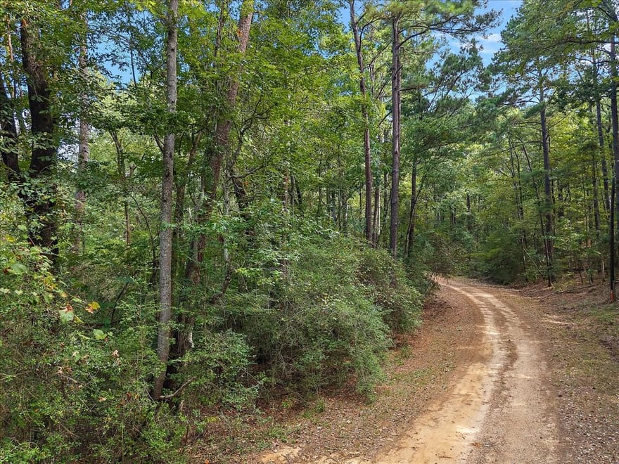 White Oak Drive, Etoile, Texas