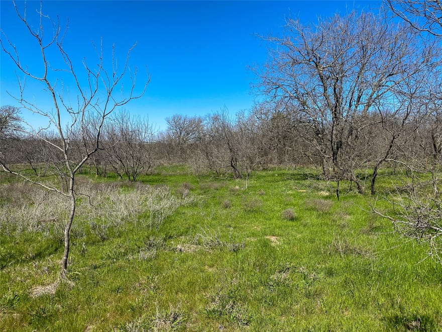 1700 Don Lee Road, Joshua, Texas