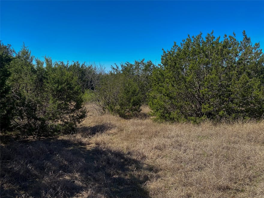 1700 Don Lee Road, Joshua, Texas