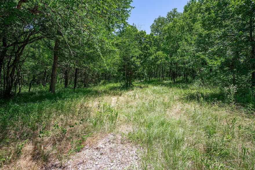 10710 County Road 289, Anna, Texas
