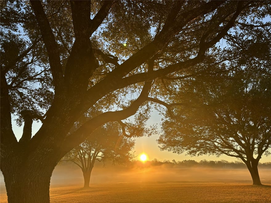 4203 Old Mill Creek Road, Brenham, Texas