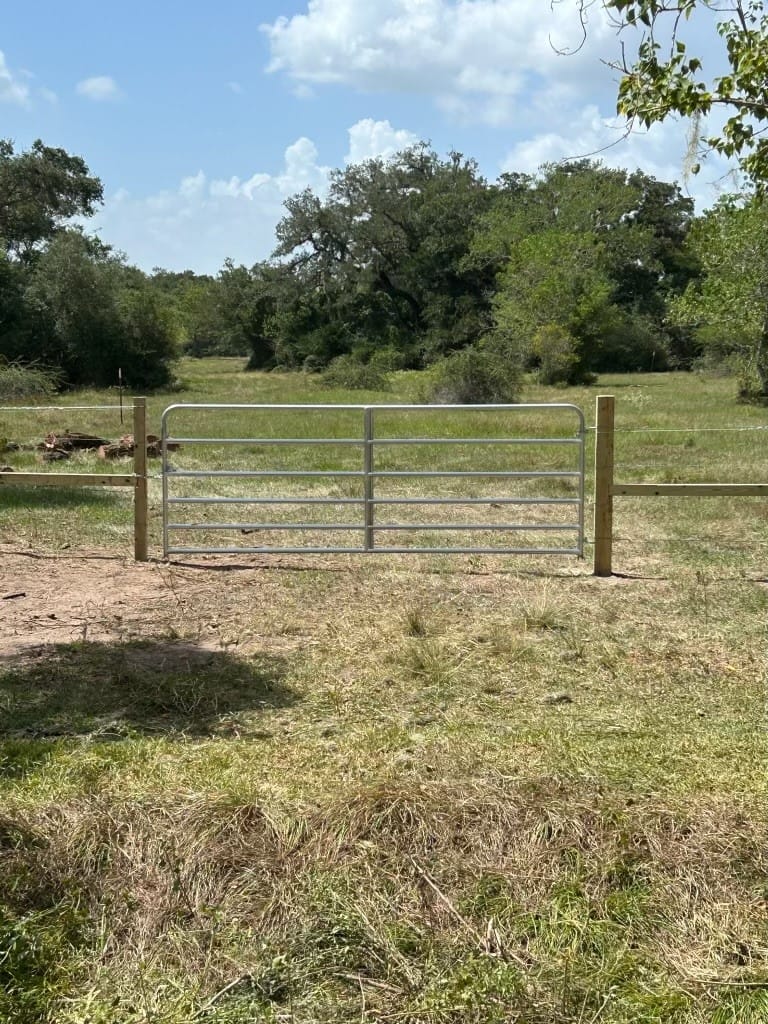 County Road 449, West Columbia, Texas