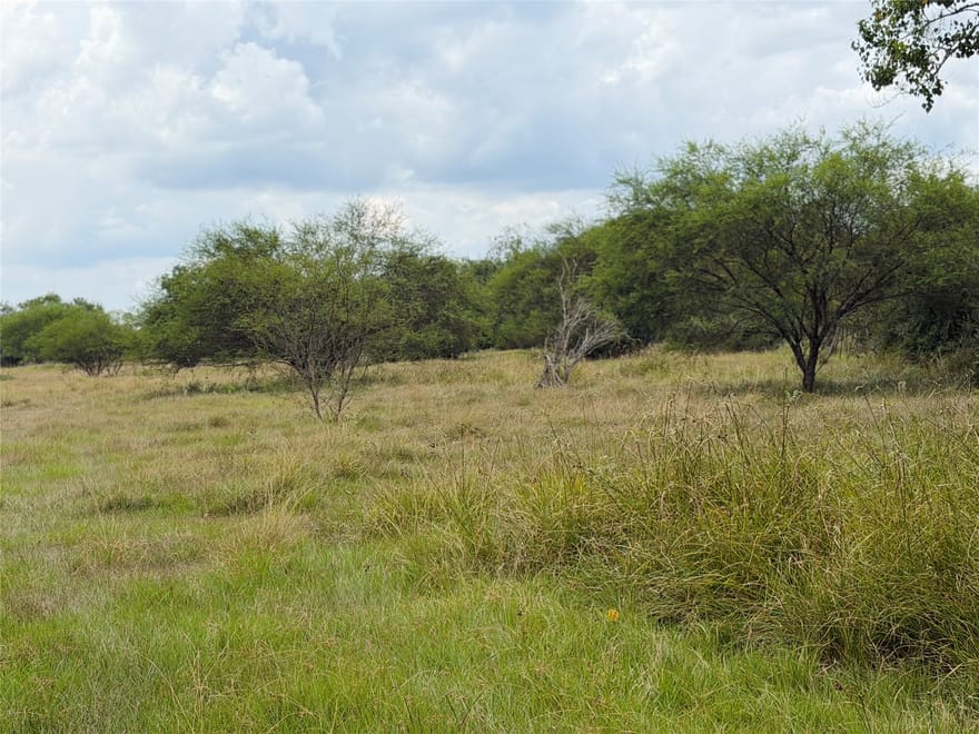 County Road 449, West Columbia, Texas