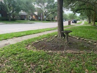 115 Eagle Lakes Drive, Friendswood, Texas