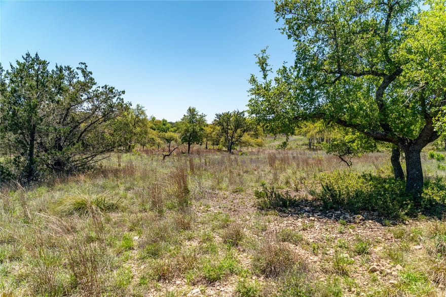 612 Whiskey Trail, Blanco, Texas