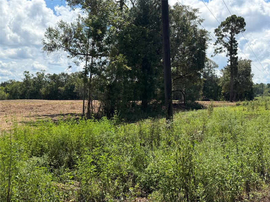 1575 Highway 96 S, San Augustine, Texas