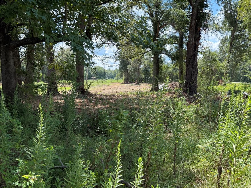 1575 Highway 96 S, San Augustine, Texas