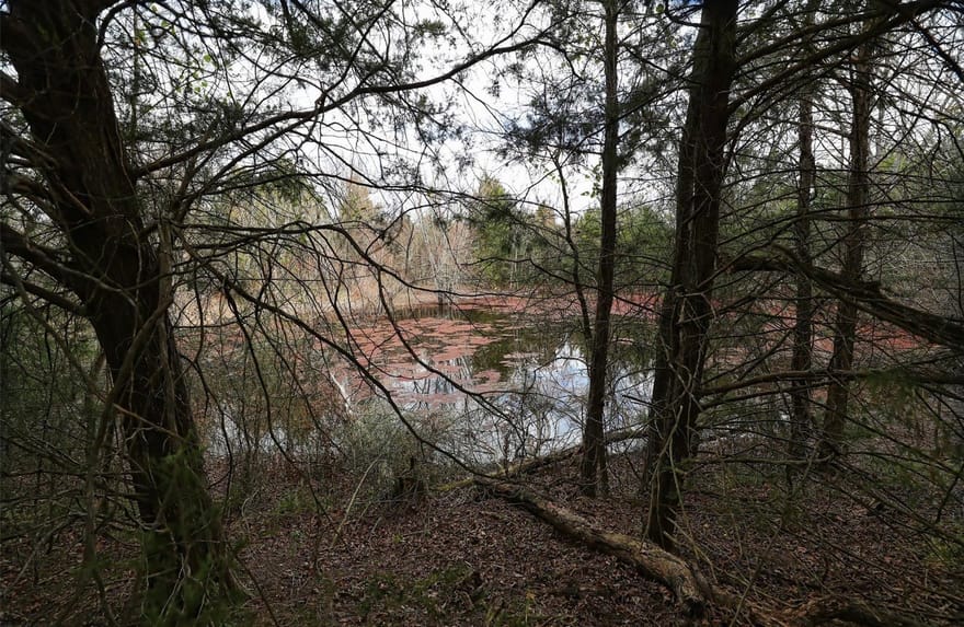 291 Vz County Road 3847, Wills Point, Texas