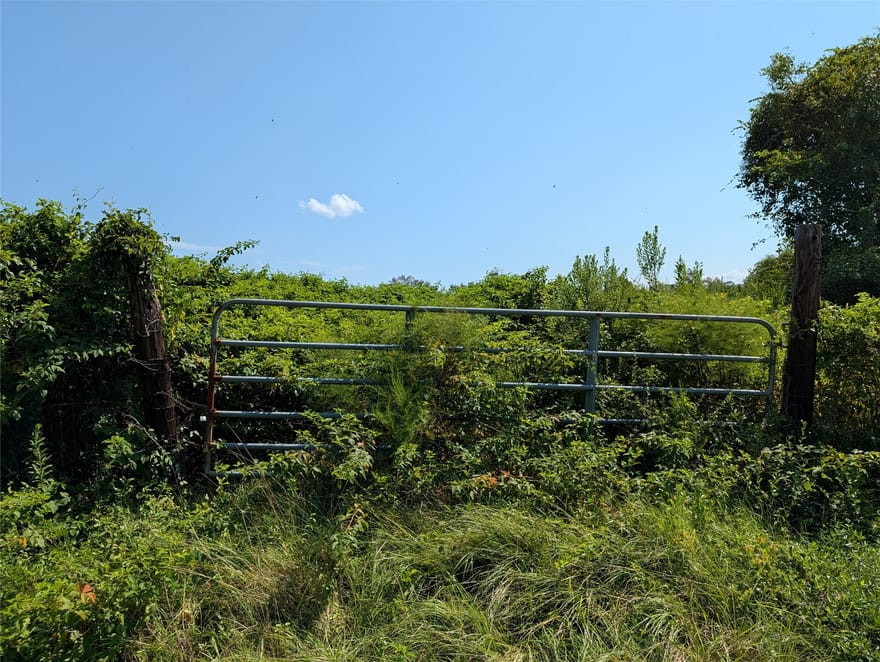 358 County Road 184, Liberty, Texas