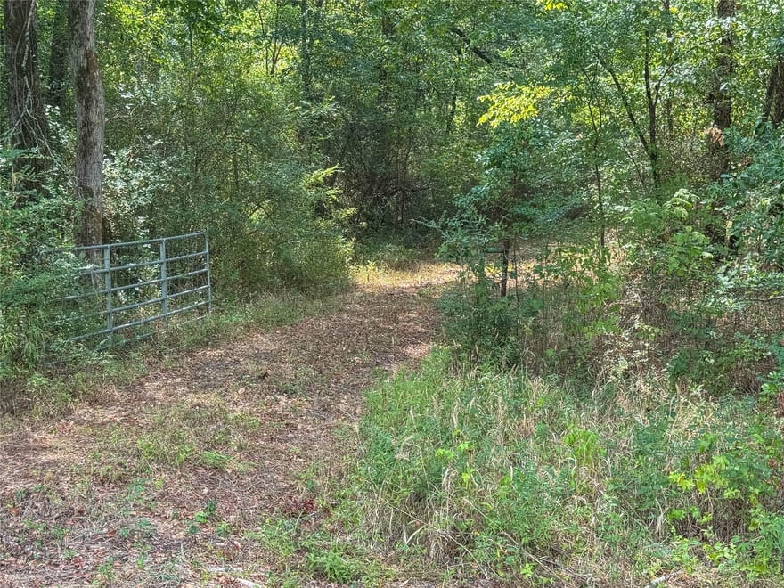 FM 1845 Pine Tree Road, Longview, Texas