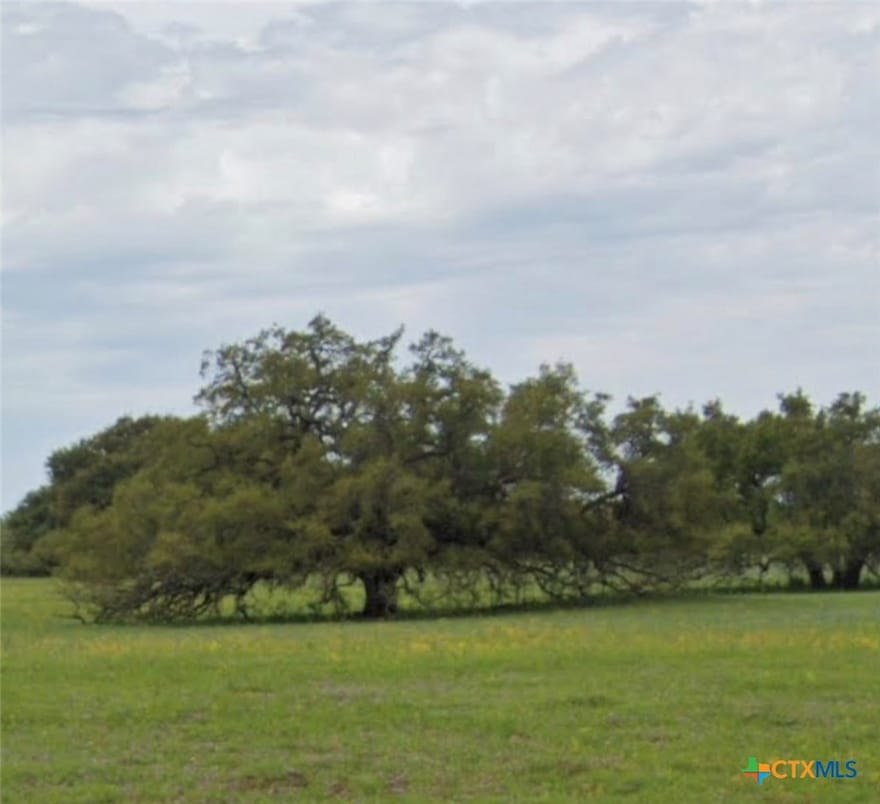 TBD State Highway 123 S, Stockdale, Texas