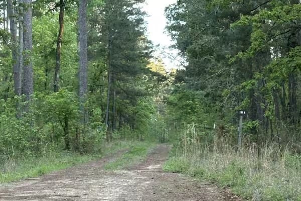2686 Cr 321 Road, Jewett, Texas