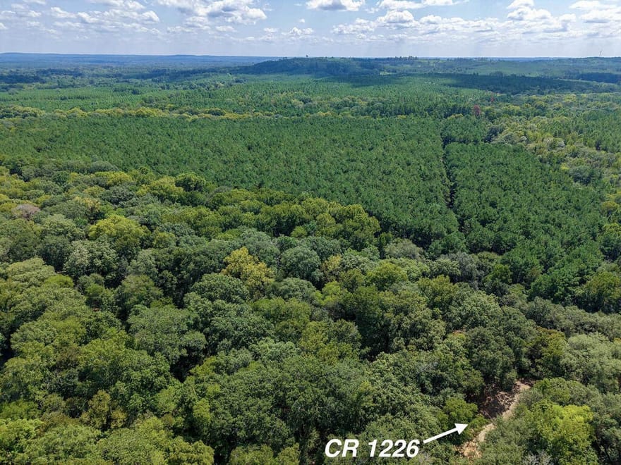 16111 County Rd, Grapeland, Texas