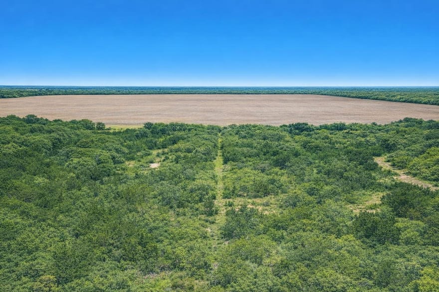 County Road, Hamlin, Texas