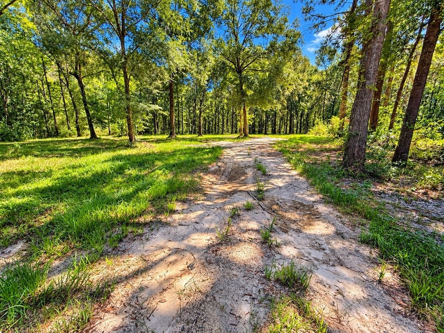 20275 Fm 770, Saratoga, Texas