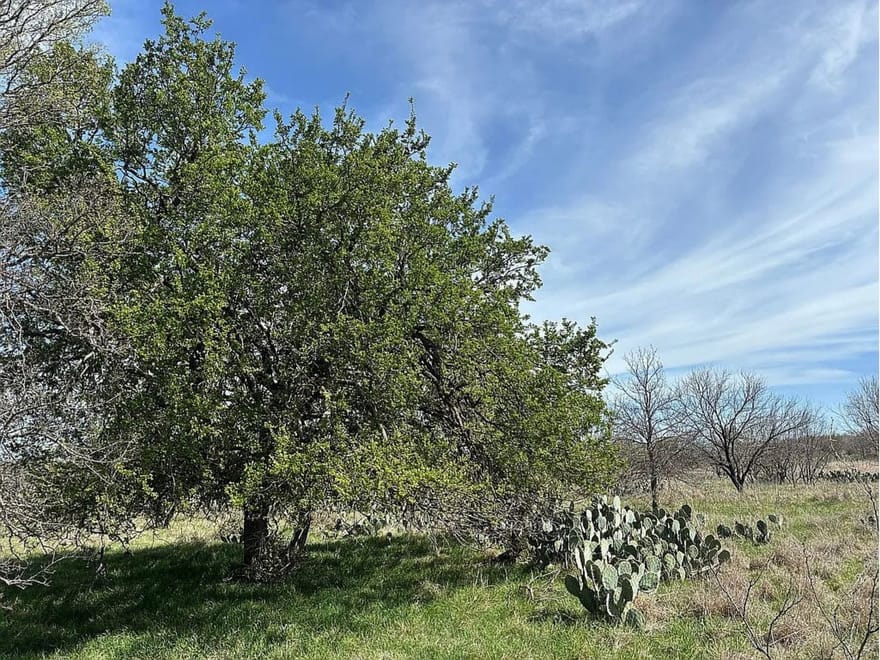 433 County Road 327, Gouldbusk, Texas