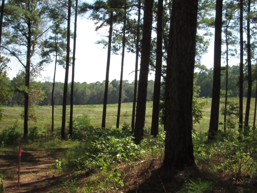 011 Fm 256 N, Woodville, Texas