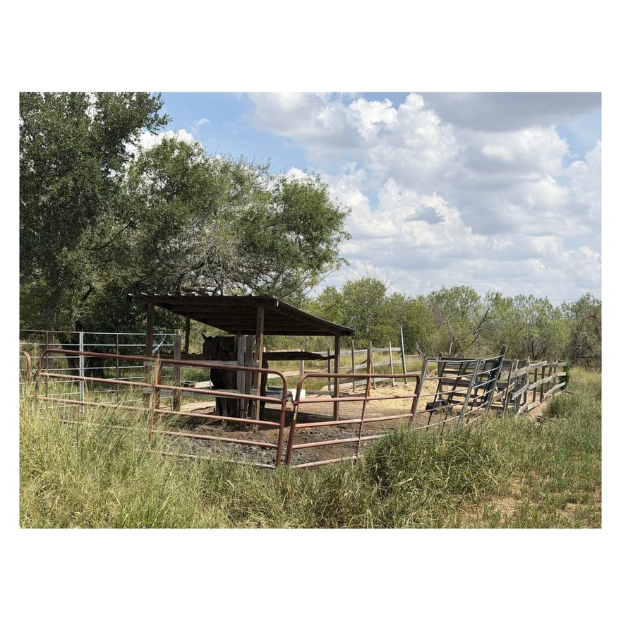 18124 County Road 163, Elmendorf, Texas