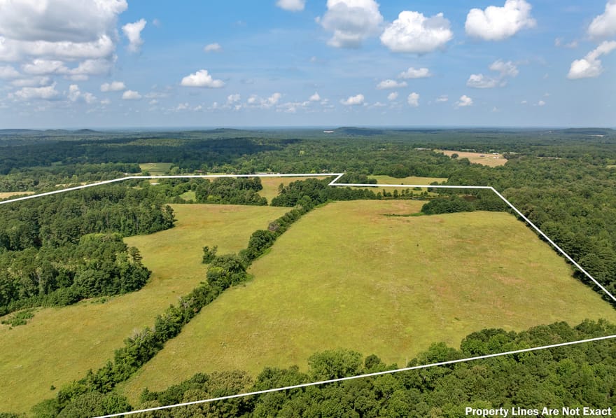 8468 Hydrangea Road, Ore City, Texas