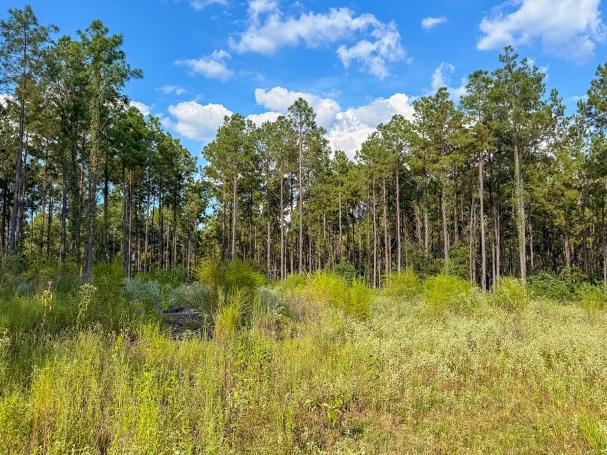 County Road 4070, Woodville, Texas