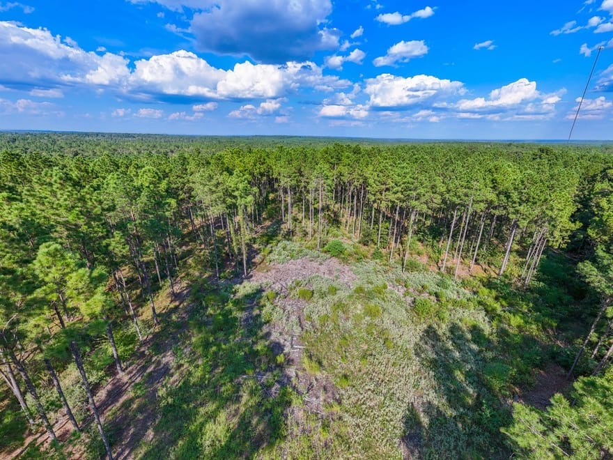 County Road 4070, Woodville, Texas