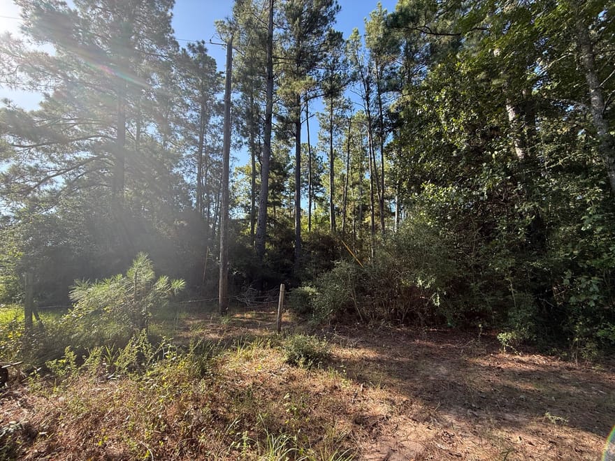 TBD Cr 3385, Lovelady, Texas